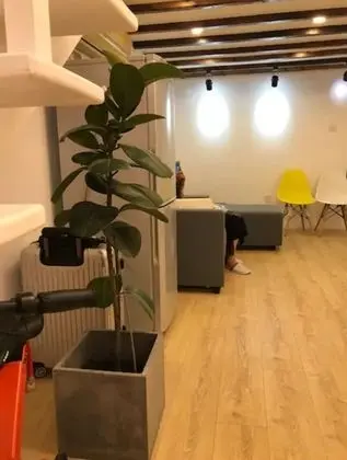 Deluxe Çatı Katı (Loft), Sigara İçilmez, Buzdolabı ve Mikrodalga