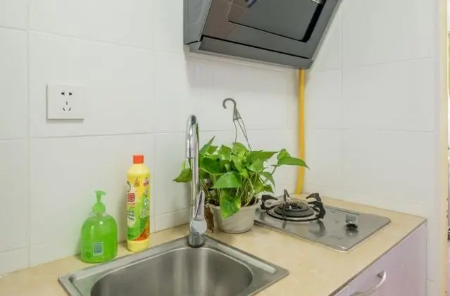 Deluxe Çatı Katı (Loft), 1 Yatak Odası, Sigara İçilmez, Mutfak