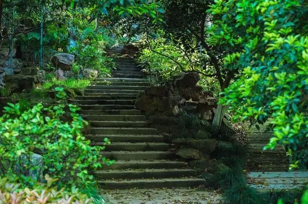 Oda, 1 En Büyük (King) Boy Yatak, Tepe Manzaralı (West Wing)