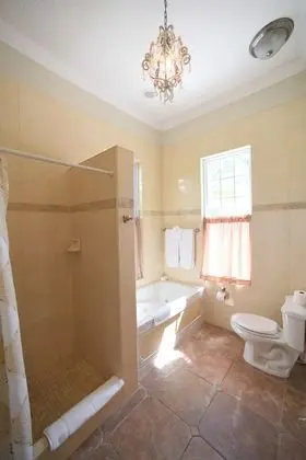 Deluxe Oda, Havuz Manzaralı (Royal Palm)