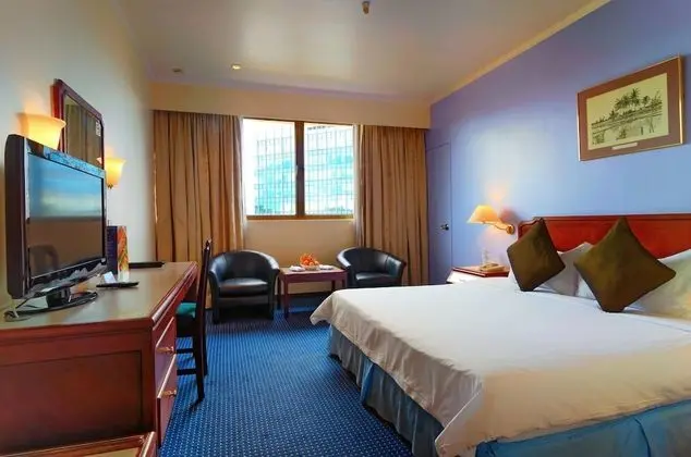 Deluxe Tek Büyük Yataklı Oda, Şehir Manzaralı