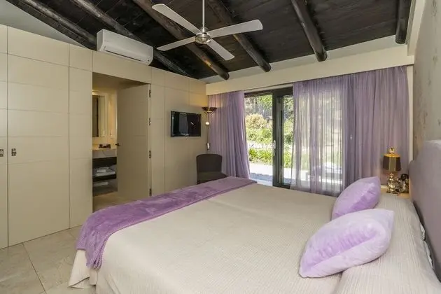 Standard Tek Büyük veya İki Ayrı Yataklı Oda, Dağ Manzaralı