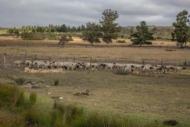 Deluxe Ev, 3 Yatak Odası