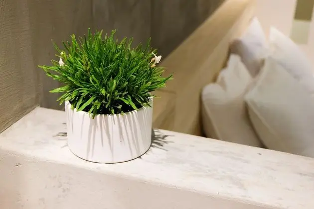 Comfort Tek Büyük Yataklı Oda, 1 En Büyük (King) Boy Yatak, Balkon, Köşe