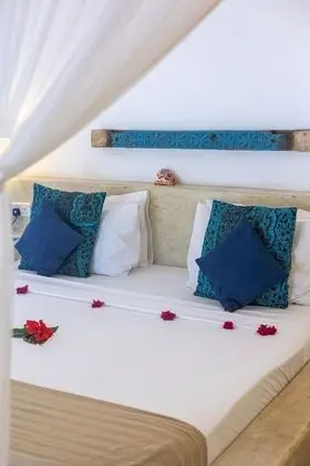 Comfort Tek Büyük Yataklı Oda, 1 Çift Kişilik Yatak, Bahçe Manzaralı