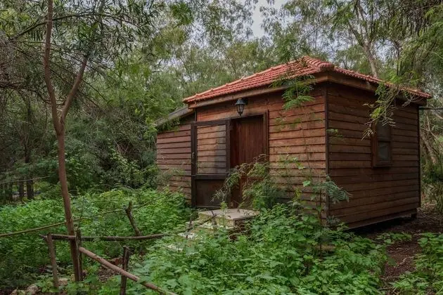 Standard Kulübe, 2 Tek Kişilik Yatak, Engellilere Uygun, Sigara İçilmez