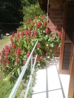 Tek Büyük veya İki Ayrı Yataklı Oda, 1 Çift Kişilik Yatak, Sigara İçilmez