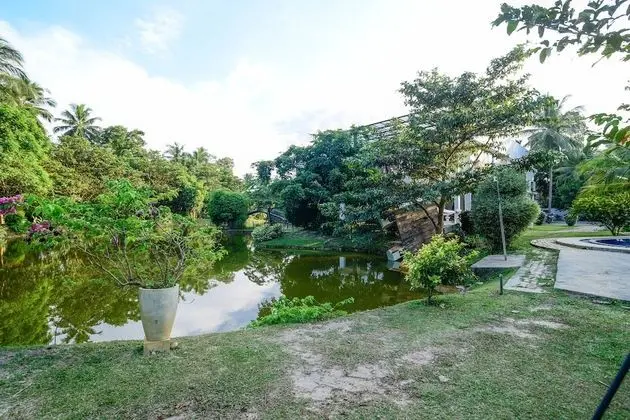 Deluxe Oda, 1 Çift Kişilik Yatak, Engellilere Uygun, Havuz Manzaralı