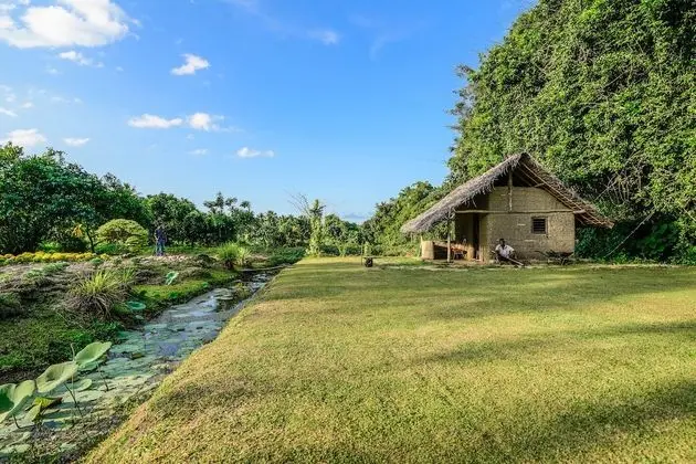 Deluxe Oda, 1 Çift Kişilik Yatak, Engellilere Uygun, Havuz Manzaralı