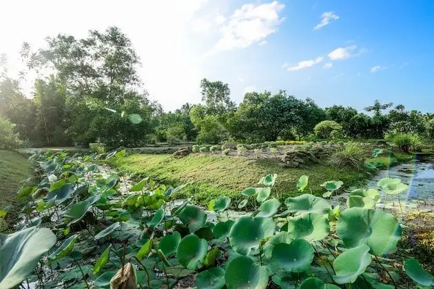 Deluxe Oda, 1 Çift Kişilik Yatak, Engellilere Uygun, Havuz Manzaralı