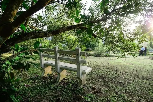 Deluxe Oda, 1 Çift Kişilik Yatak, Engellilere Uygun, Havuz Manzaralı