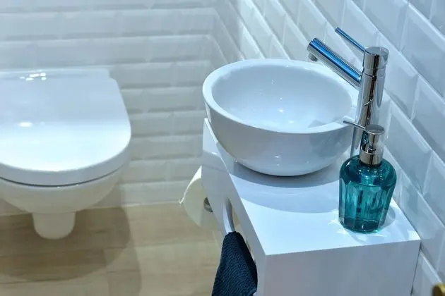 Ev, Avlu Manzaralı (S'Harzala Bleu)