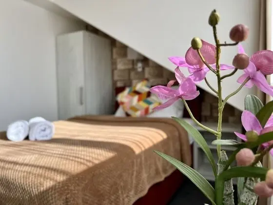 Comfort Tek Kişilik Oda