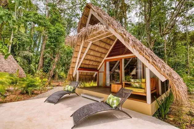Design Bungalov, 1 En Büyük (King) Boy Yatak, Havuz Manzaralı (Tippie)