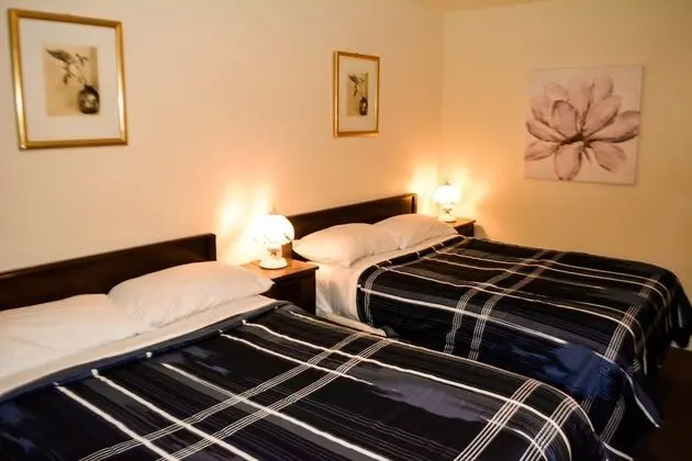 Deluxe Oda, 2 Çift Kişilik Yatak, Sigara İçilmez, Avlu Manzaralı