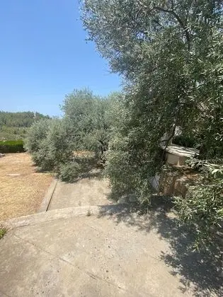 Villa, 4 Yatak Odası, Şömine