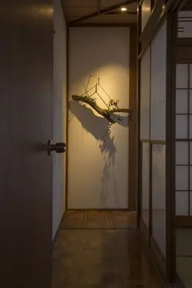 Traditional Tek Büyük Yataklı Oda, Sigara İçilmez (AOI ROOM)
