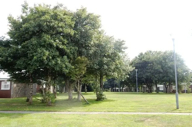 Comfort Dağ Evi, Banyolu/Duşlu (2 bedroom)