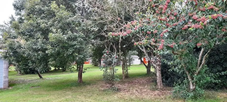 Comfort Dağ Evi, Banyolu/Duşlu (2 bedroom)