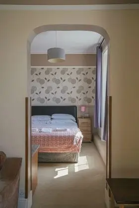 Deluxe Tek Büyük Yataklı Oda, Banyolu/Duşlu, Şehir Manzaralı (Deluxe Double )