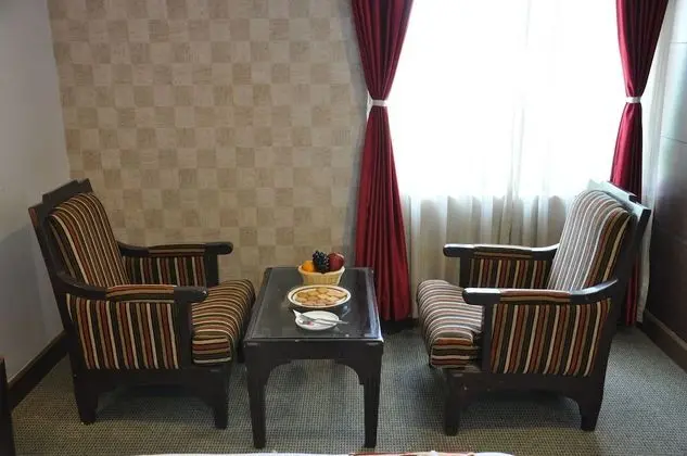 Executive Tek Büyük veya İki Ayrı Yataklı Oda, 1 Yatak Odası, Şehir Manzaralı