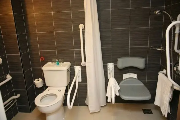 Standard Tek Büyük Yataklı Oda, Engellilere Uygun