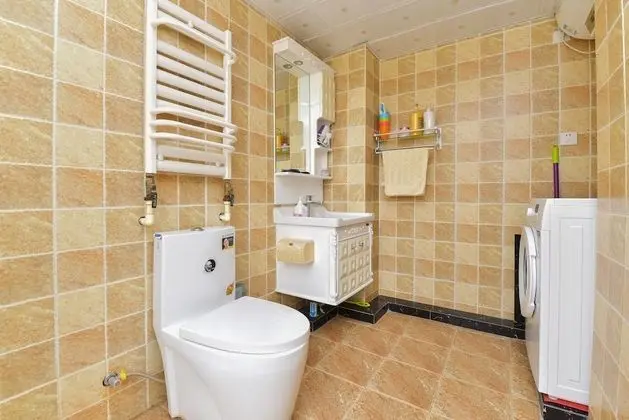 Çatı Katı (Loft)