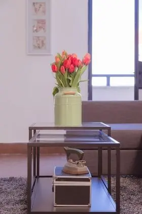 Apart Daire, 2 Yatak Odası, Şehir Manzaralı