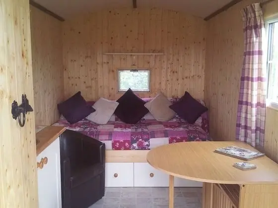 Comfort Tek Büyük Yataklı Oda, Ortak Banyo, Park Manzaralı (With Private WC)