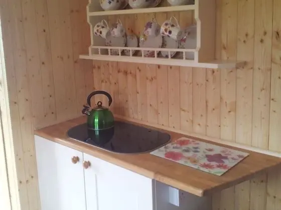 Comfort Tek Büyük Yataklı Oda, Ortak Banyo, Park Manzaralı (With Private WC)