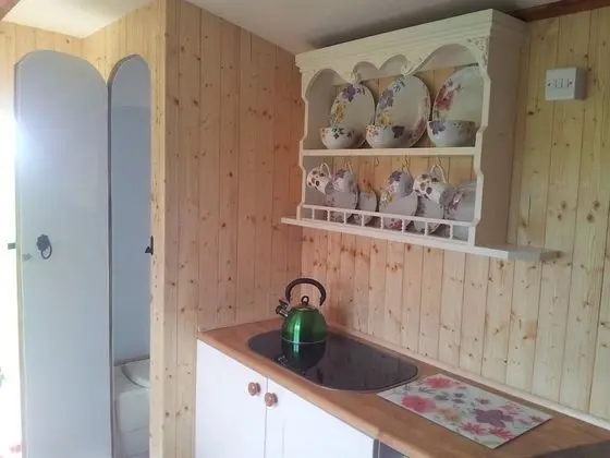 Comfort Tek Büyük Yataklı Oda, Ortak Banyo, Park Manzaralı (With Private WC)