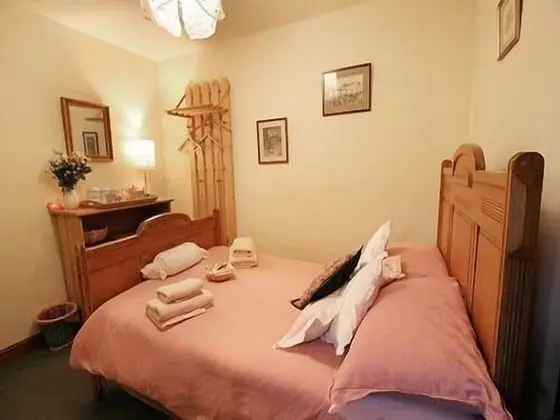Basic Tek Büyük Yataklı Oda, Banyolu/Duşlu (Small Double-Room 4)