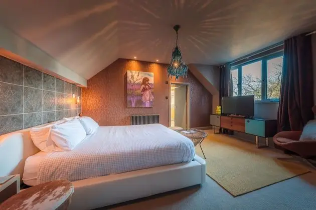 Deluxe Tek Büyük Yataklı Oda, Banyolu/Duşlu, Nehir Manzaralı (Room 2)