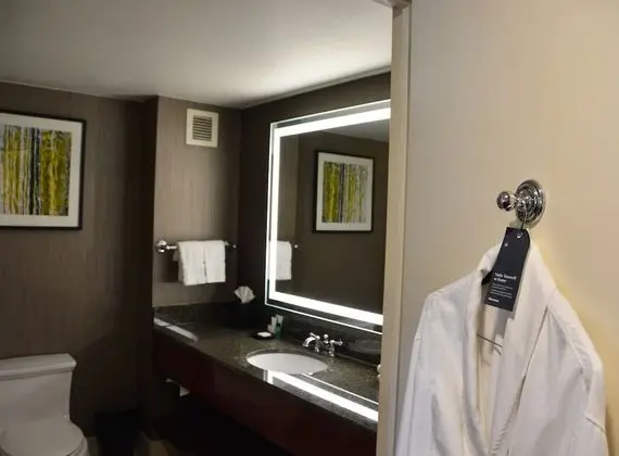 Executive Süit, 1 Yatak Odası, Dağ Manzaralı