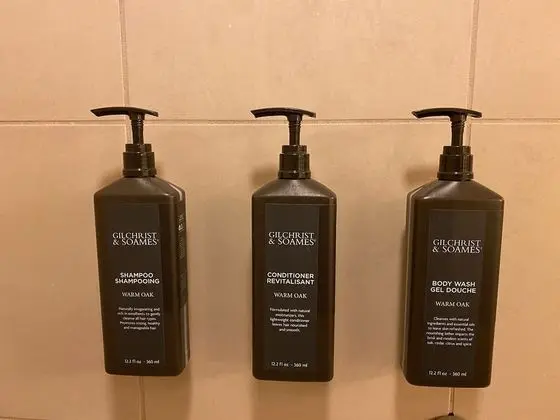 Executive Süit, 1 Yatak Odası, Dağ Manzaralı
