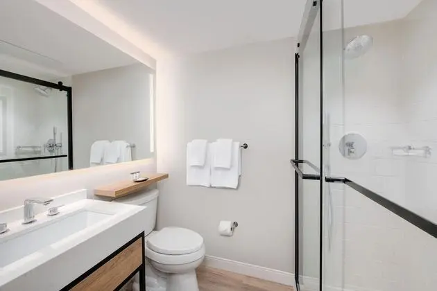 Club Oda, 1 En Büyük (King) Boy Yatak (Mobility Accessible, Roll-In Shower)