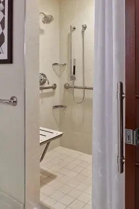 Süit, 1 En Büyük (King) Boy Yatak ve Çekyat (Mobility Accessible, Roll-In Shower)