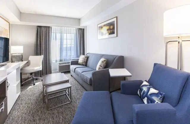 Executive Süit, 1 En Büyük (King) Boy Yatak ve Çekyat, Şehir Manzaralı