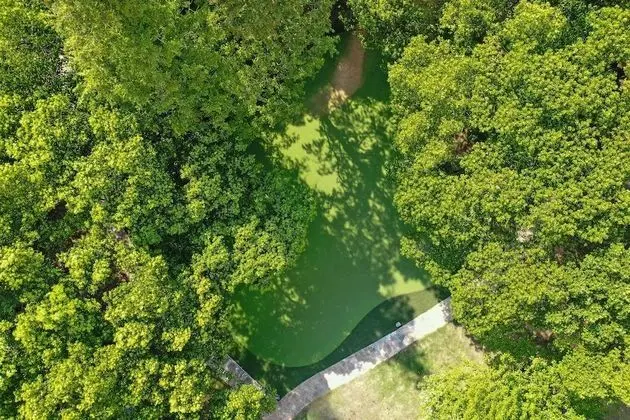 Deluxe Oda, 1 En Büyük (King) Boy Yatak, Bahçe Manzaralı