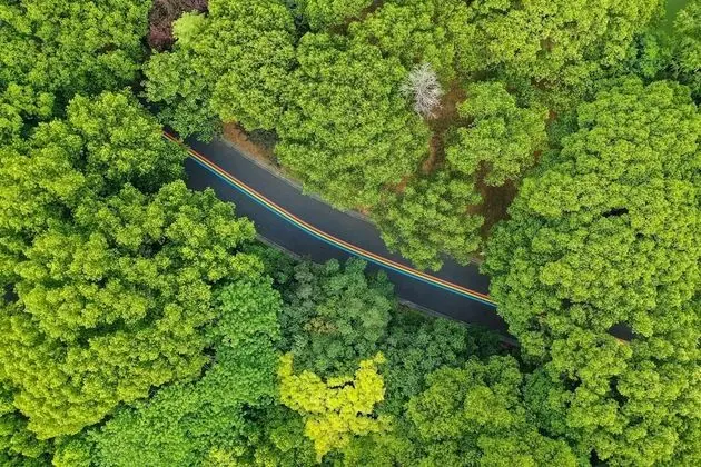 Grand Süit, 1 Yatak Odası