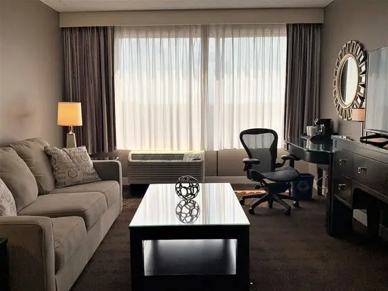 Executive Süit, 1 En Büyük (King) Boy Yatak ve Çekyat, Sigara İçilebilir