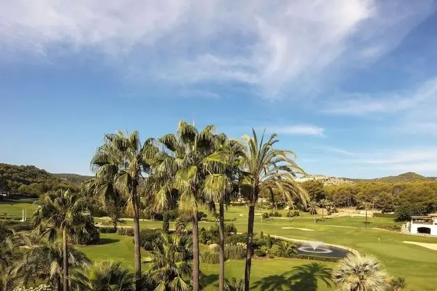 Superior Oda, 1 En Büyük (King) Boy Yatak, Balkon, Resort Manzaralı