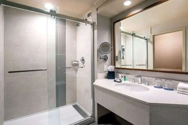 Deluxe Oda, 1 En Büyük (King) Boy Yatak, Avlu Manzaralı (Balcony)