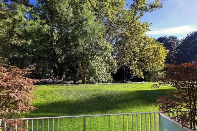 Oda, 1 En Büyük (King) Boy Yatak, Teras, Park Manzaralı (Terrace)