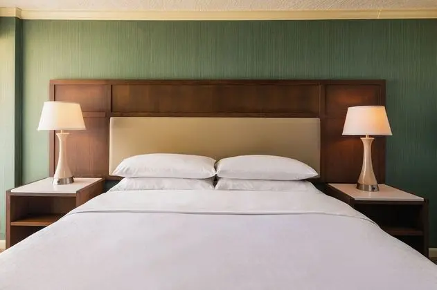 Oda, 1 En Büyük (King) Boy Yatak, Balkon, Resort Manzaralı
