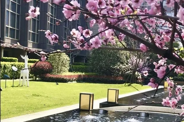Premier Oda, 2 Çift Kişilik Yatak