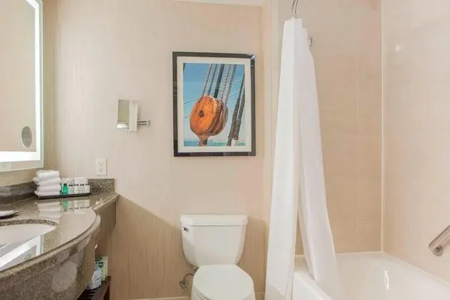 Oda, 1 En Büyük (King) Boy Yatak (Mobility Accessible, Tub)