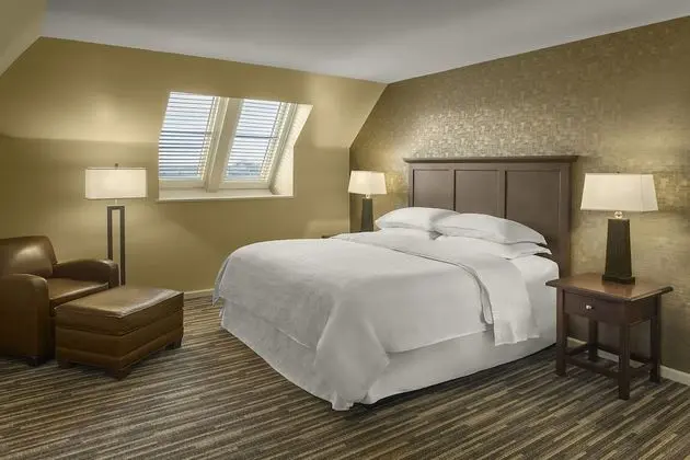Çatı Katı Süiti (Penthouse), 1 Yatak Odası