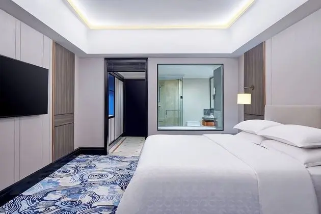 Premium Oda, 1 En Büyük (King) Boy Yatak, Şehir Manzaralı