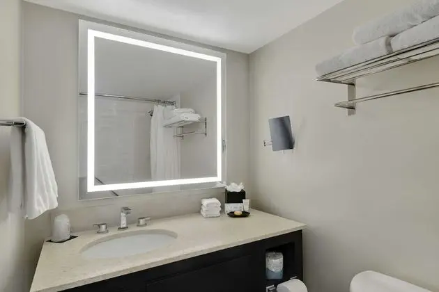 Oda, 1 En Büyük (King) Boy Yatak, Balkon, Şehir Manzaralı